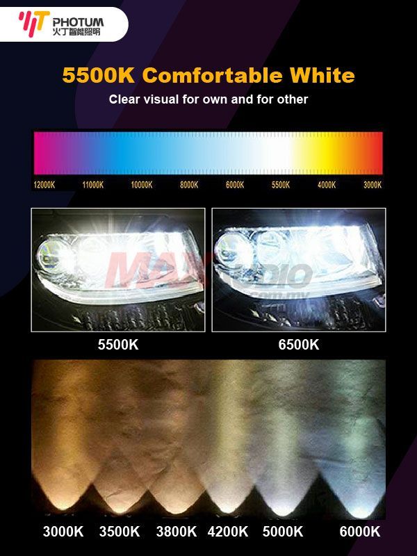 Buy PHOTUM 5500K +300 Brighter Intelligent Laser Beam LED HID Car